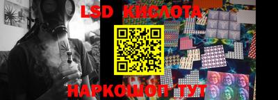 шишки Будённовск