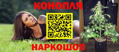 шишки Будённовск