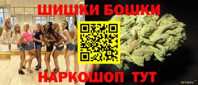 шишки Будённовск
