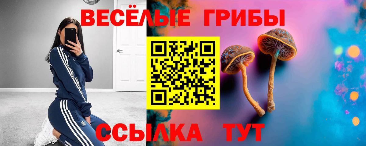 Галлюциногенные грибы мухоморы Янаул